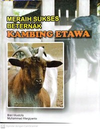 Meraih sukses beternak kambing etawa